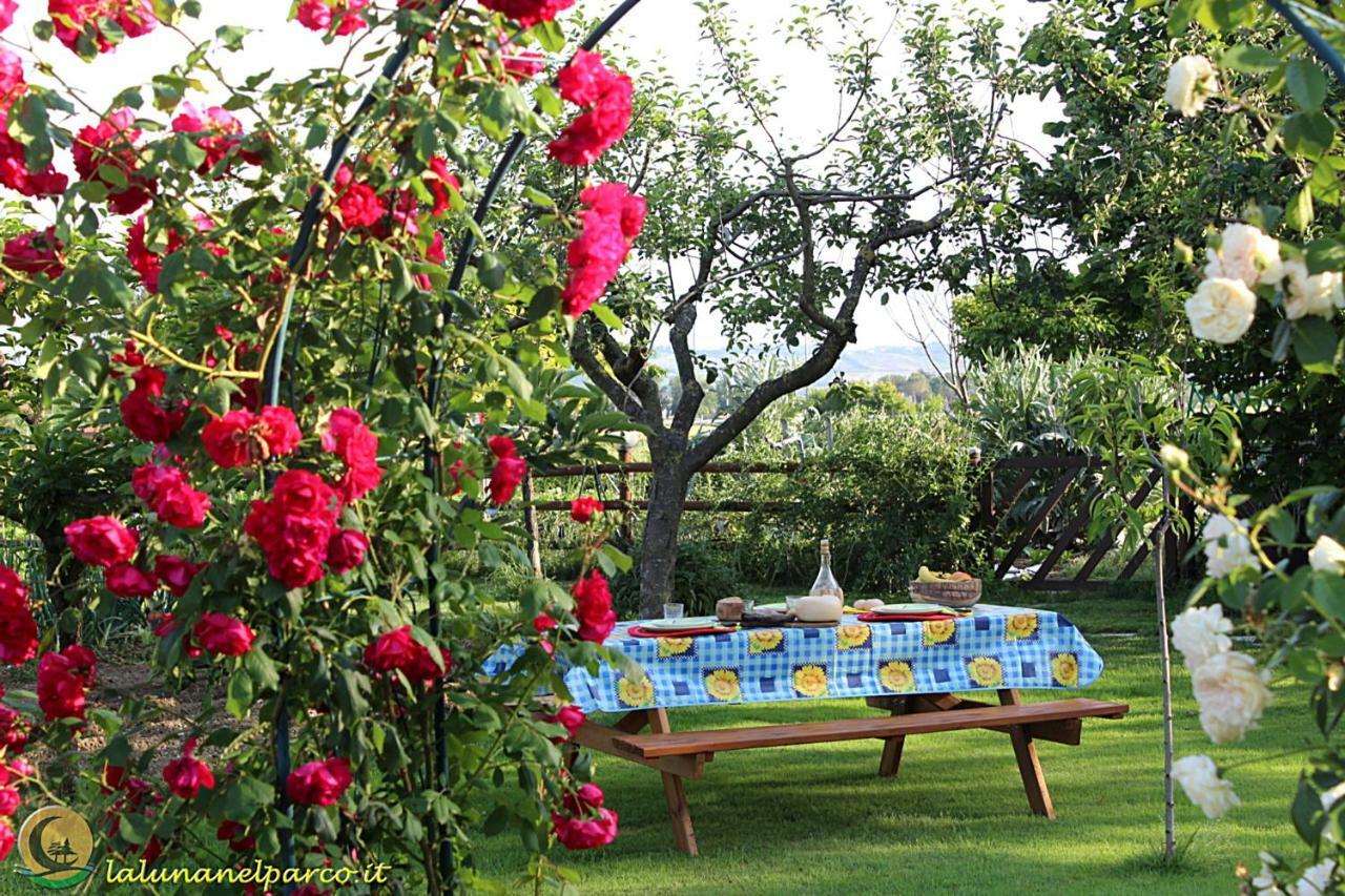 La Luna Nel Parco Bed & Breakfast